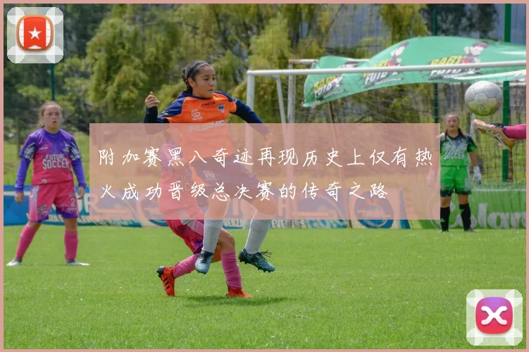 附加赛黑八奇迹再现历史上仅有热火成功晋级总决赛的传奇之路