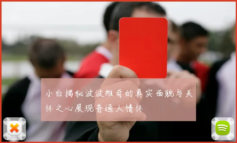 小白揭秘波波维奇的真实面貌与关怀之心展现普通人情怀